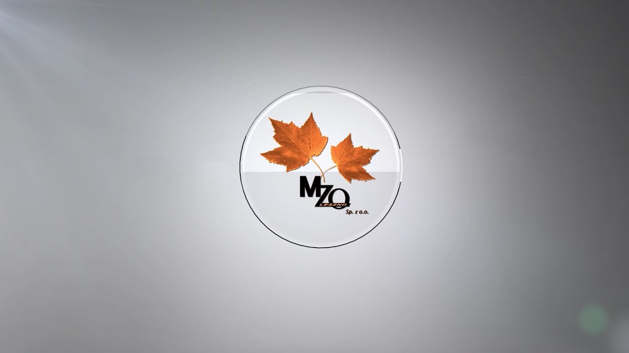 MZO – nowości dla klientów