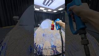 POV: Experiencing washing Maserati muddy