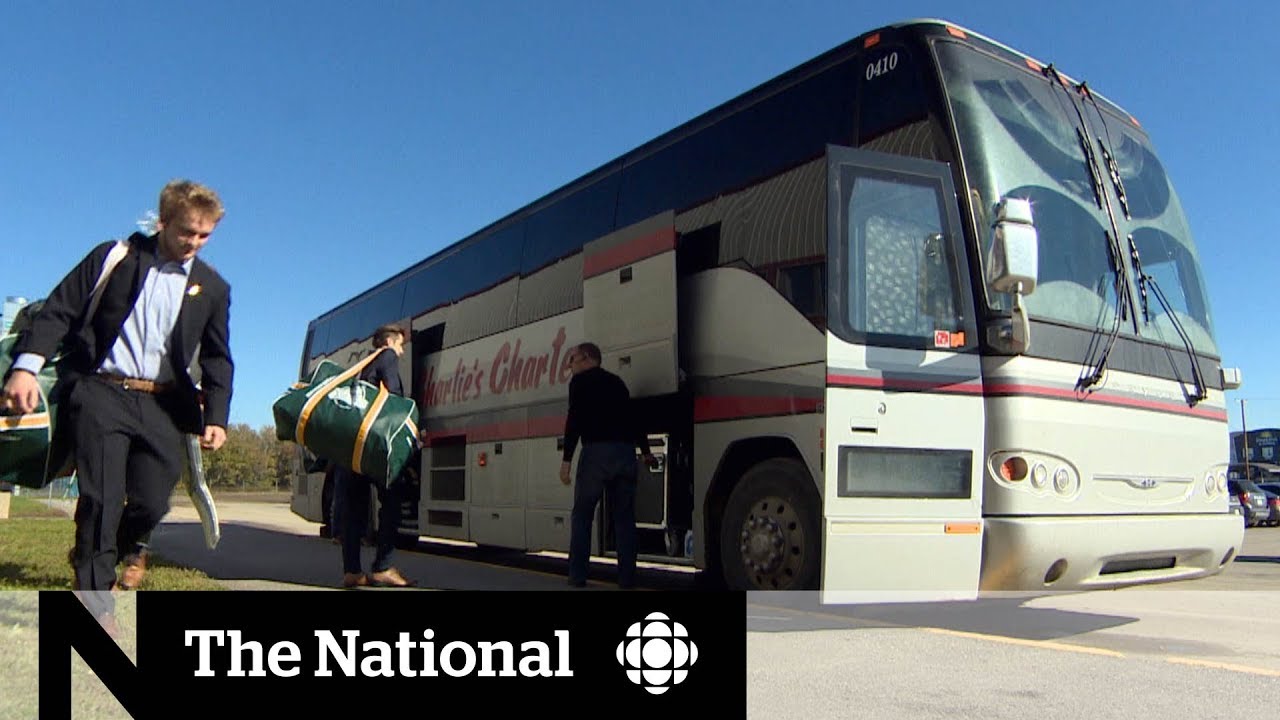 Could seat belts have saved the Humboldt Broncos? save the world