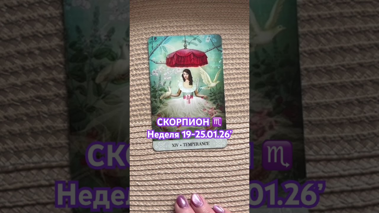 🩷СКОРПИОН ♏️Неделя 19-25.01.2026🩷
