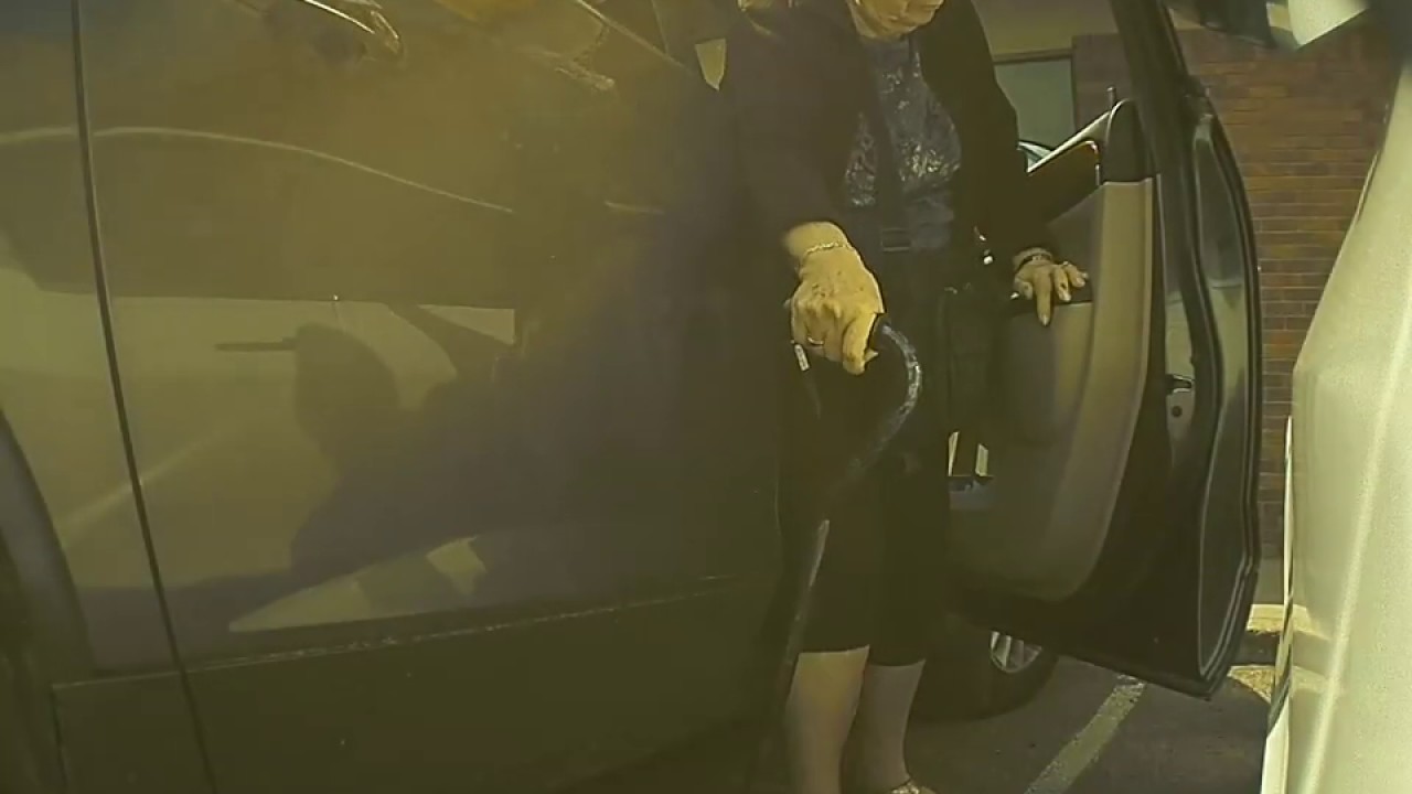 Lady prevents Tesla door ding & admires Model 3 – TeslaCam Sentry Mode ...
