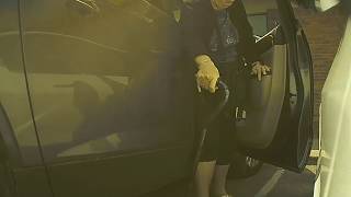 Lady prevents Tesla door ding &amp; admires Model 3 – TeslaCam Sentry Mode