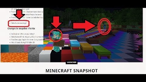 Mojang Added some new bugs !?!