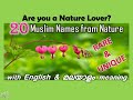 Muslim baby names related to naturearabic names inspired from natureenglish  malayalam meaning