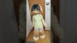 Fangs out, tail up #taildrop #furry #cute #kigurumi #cosplay #oc #furryoc #fursuit #kig