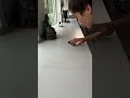 Fingerboarding