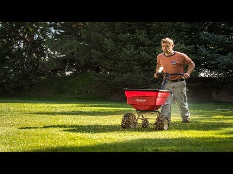 The Ultimate Lawn Care Program - Organic Lawn Care - Organo Lawn