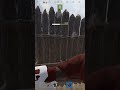 RUST MOMENTS 💀🤣 | #61 #shorts