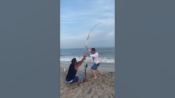 Can i get a....... #fish #fishing #florida #longisland #shark #sharkfishing #newyork #beach #ny #usa
