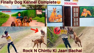 Finally Dog Kennel Complete😍Sb Dogs Ki Painting Ready Hogye🐶|| Rock N Chintu Ki Jaan Bachai😡