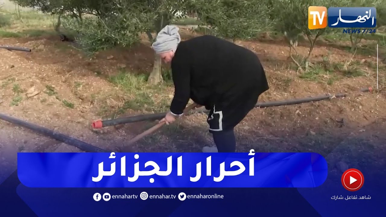 عين تموشنت / لطيفة..قصة إمرأة مكافحة بشغف خدمة الفلاحة وعالم الريف