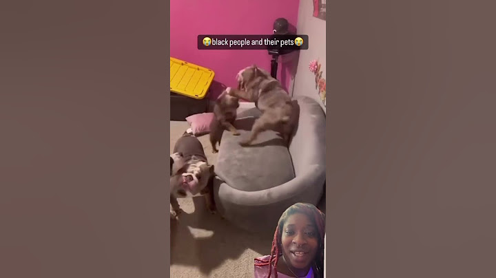 #dogsiblings #dogparents