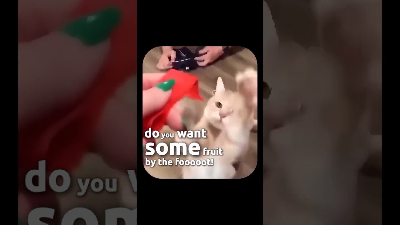 Он обожает фрукты у ног! 