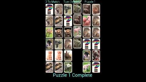 YAP Young Animal Pairs. Cute Android card matching game.