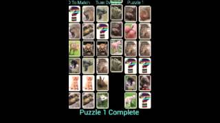 YAP Young Animal Pairs. Cute Android card matching game. screenshot 4