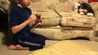 MY STRANDBEAST FROM HEXBUG!!!!!!!!!!!!