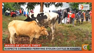 Two suspected cattle thieves lynched in Murang'a