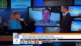 Custody Battles over Pets