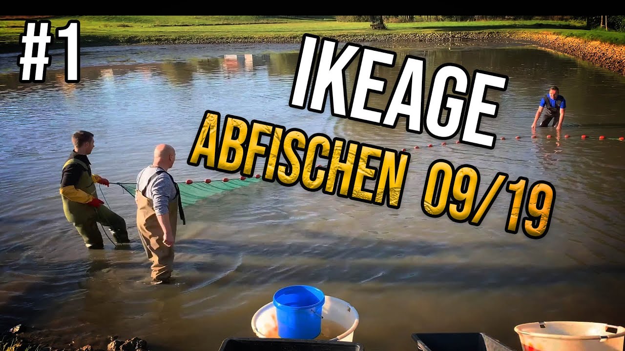 Inside teichjuwelen 1 Abfischen der Teiche September 2019 YouTube
