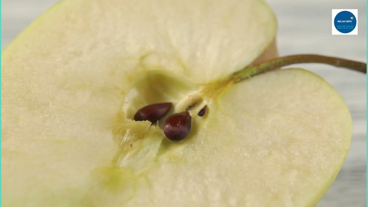 Is eating apple seeds harmful or poisonous