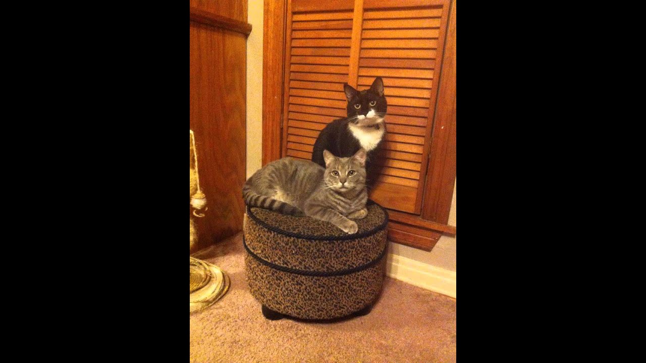 Keyboard Commando APogue   Dancing With One Finger