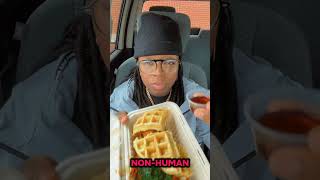 Vegan Food Review | Ferndale V-Stro