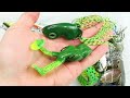 Fishing with Lures for Beginners - When to Use (Underwater Fishing Lures)