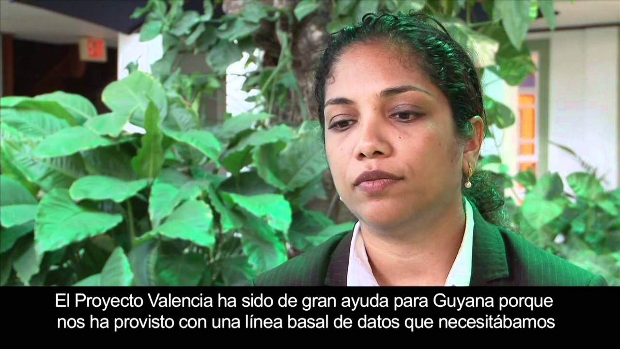 health insurance Programa de Cooperación OPS-Generalitat Valenciana