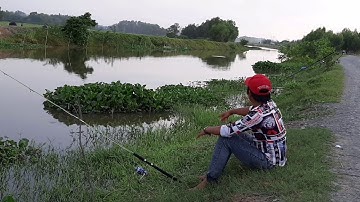 Chuyến Đi Câu cá tra ở đức hòa đức huệ lông an