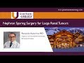 Nephron Sparing Surgery for Large Renal Tumors