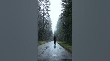 3d cgi human walking animation blender work and cloth simulation animation blender #shots #trending