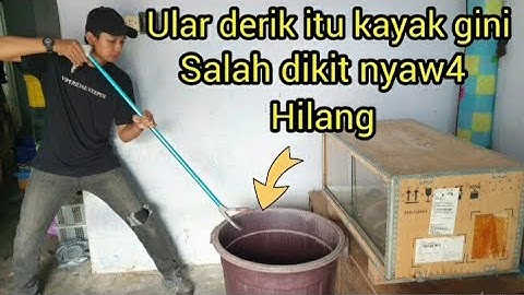 DETIK-DETIK PALING BERBAHAY4 DI DUNIA SAAT PEMINDAHAN ULAR DERIK DARI AMERIKA PAKAI EMBER AIR...???