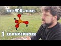 Le phosphore srie npk  oligos  1