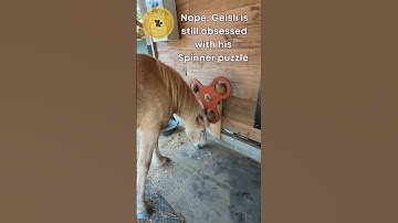 Equithink: People ask me; Doesn