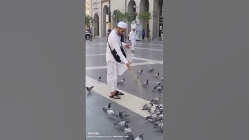 Thumbnail of Tamanna hain madina dekhu#explorepage #shortvideo ///