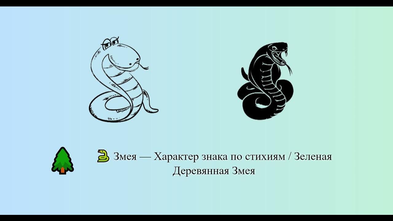 Змея характер. Совместимость Огненная змея и Земляная змея. Став Огненная змейка. 2025 Год — год зелёной деревянной змеи.