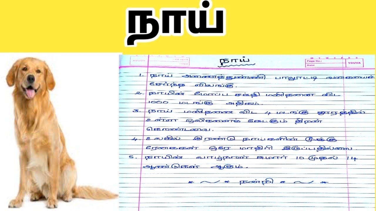 my pet tamil essay