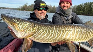 WE CAUGHT A FISH OF A LIFETIME!!!  10 Day November Musky Challenge 2023  Day 7