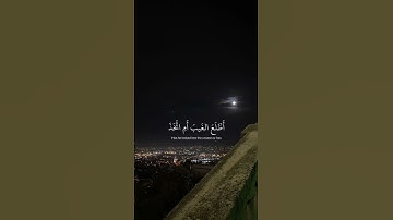﴿ افرَأيت الَّذِي كفرَ بآياتِنا ﴾ سوره مريم، عبدالرحمن مسعد #قرآن #ارح_قلبك #قران_كريم