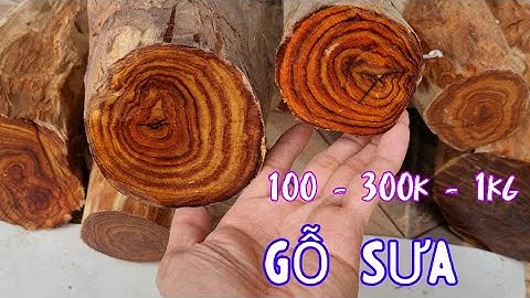 Có Mấy Khúc Gỗ Sưa 20 Năm Tuổi Giao Với Anh Em - Cành Gỗ Sưa Bắc Non Gỗ Sưa Có Mùi Thơm Mát Nhẹ