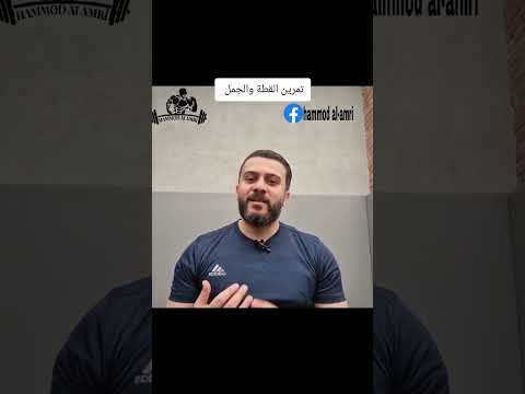 تمرين القطة والجمل