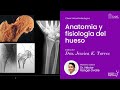 Anatomía y fisiología del hueso por la Dra. Jessica K. Torres García