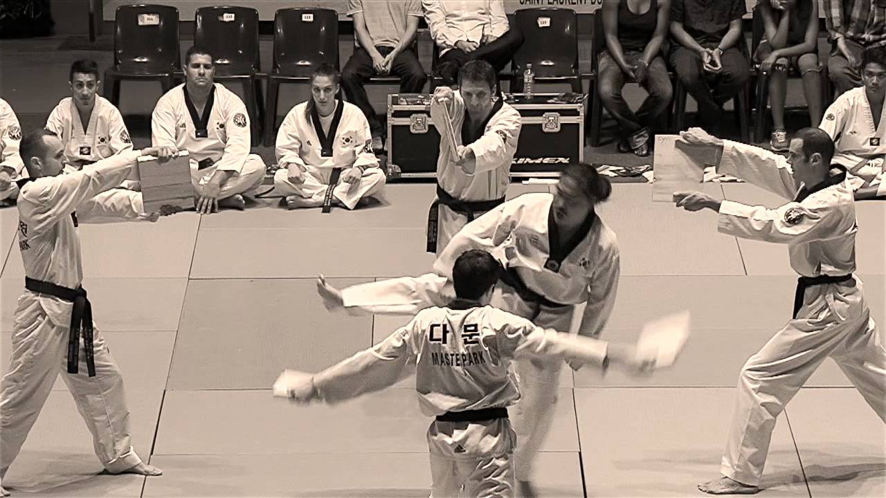 Festival International des Arts Martiaux 2014Teaser YouTube