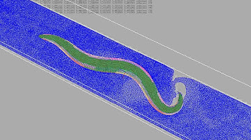 OpenWorm: Initial full-worm body locomotion simulation