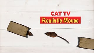 CAT GAMES - Realistic Mouse for Cats- 3 HOURS (Video for Cats & Dogs to Watch) by Best Cat Games & Videos 2,721 views 4 months ago 3 hours, 1 minute