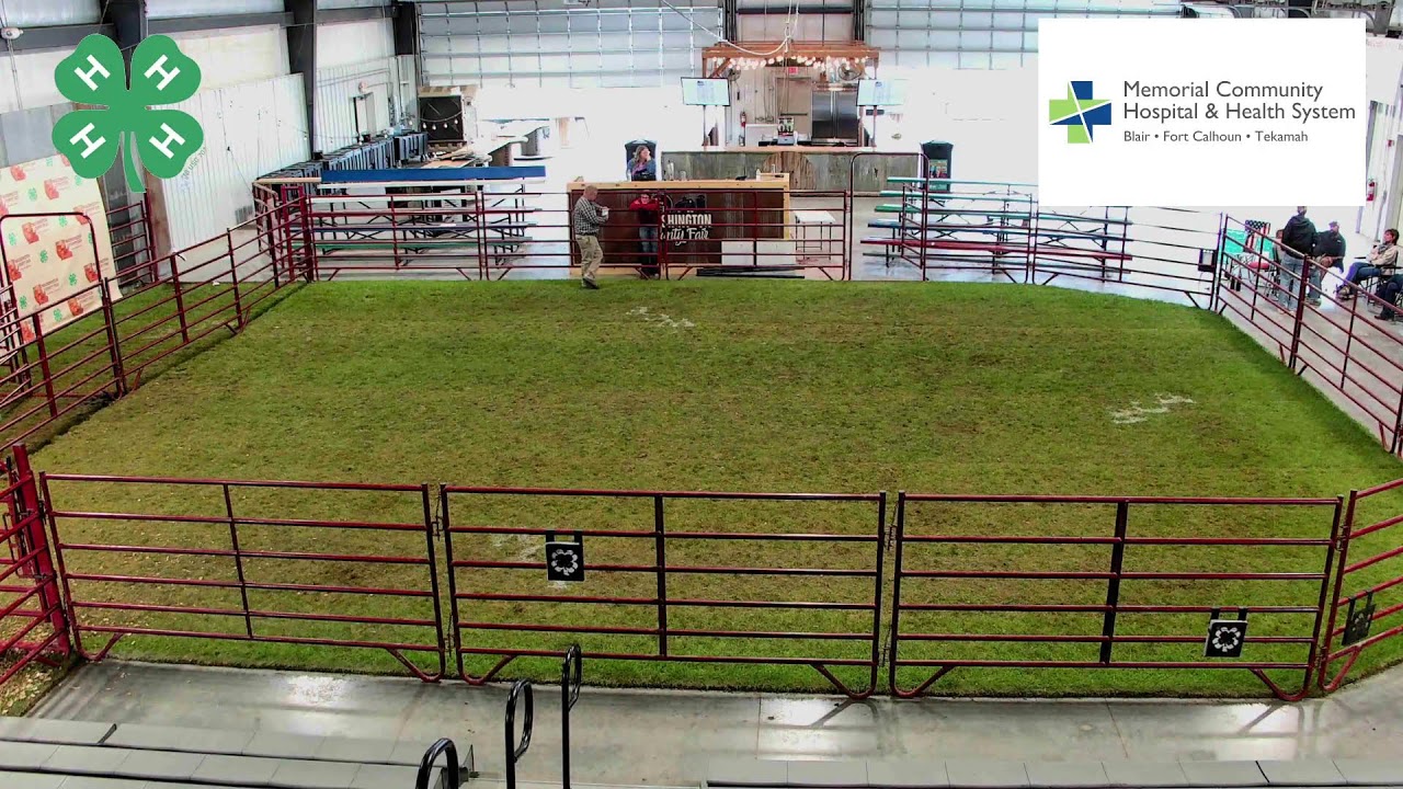 Washington County Fair Swine Show 8-4-26