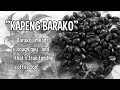 Kapeng Barako Batangas by Coffee Beans PH