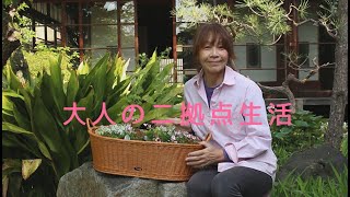 [SUB]お花屋さんの前を素通りできない！5月の花選びは至福の時間/レイズベッドで野菜畑をつくる