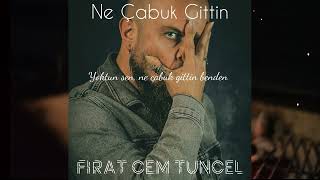 Fırat Cem Tuncel - Ne Çabuk Gittin (Official Lyric Video) #60ay60eser Eser No: 9 Resimi