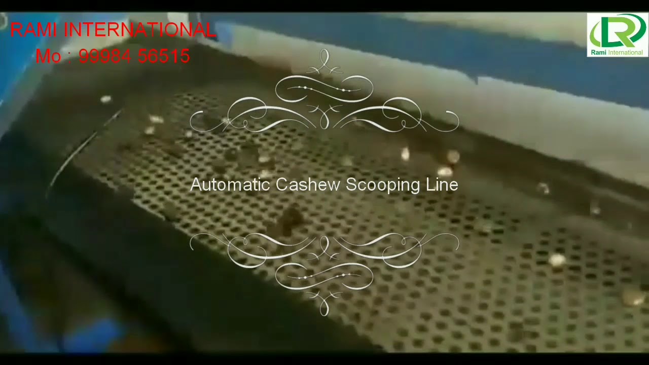 fully automatic cashew scooping machine by Rami international (Mo : 99984 56515)